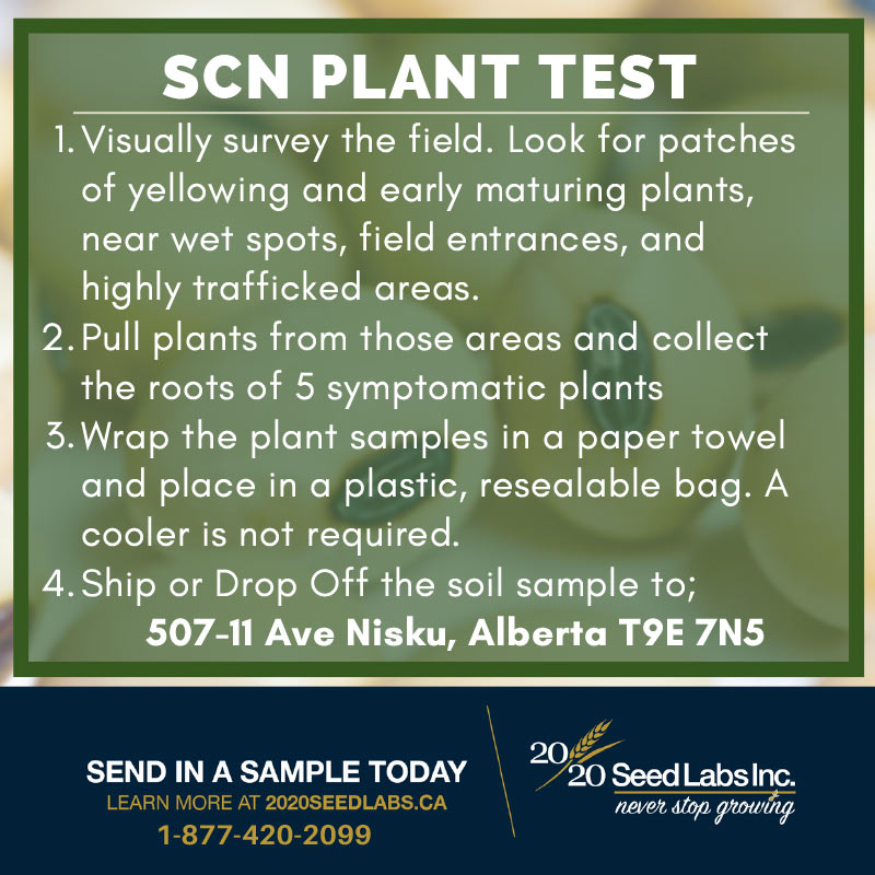SCN-Plant-Testing-Card-1